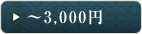 ～3,000円
